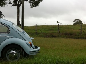 leaving bangalow- stunning