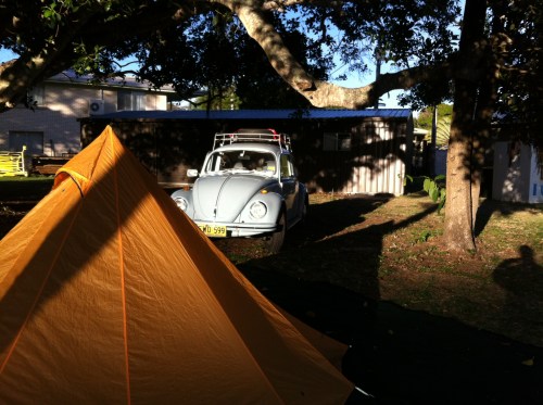 camp site at agnes waters under the fig tree
