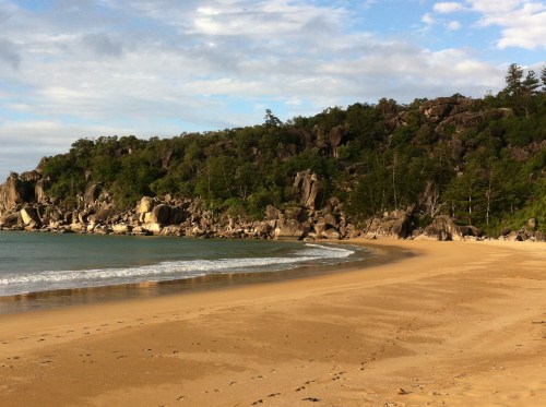 radical bay - magnetic is