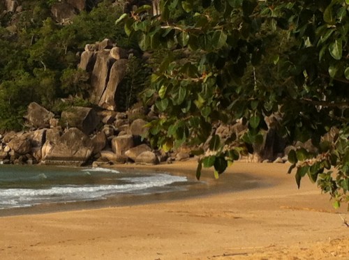 a radical peson @radical bay magnetic is