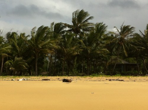 its windy - even to windy for kite flying