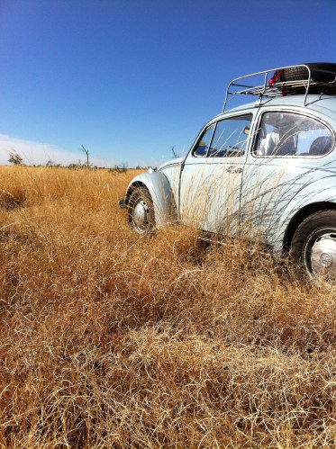 on the road to tenant crk