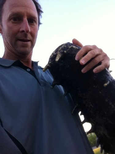 i love croc westling