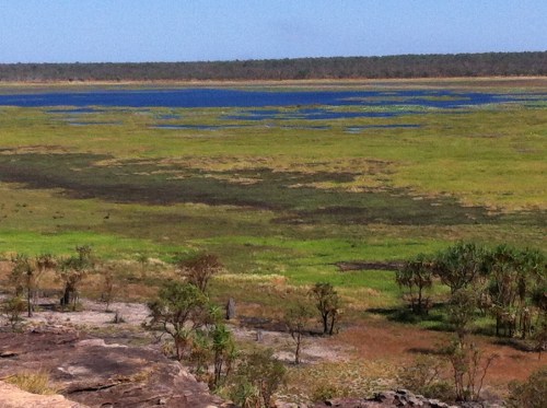 kakadu- amazing
