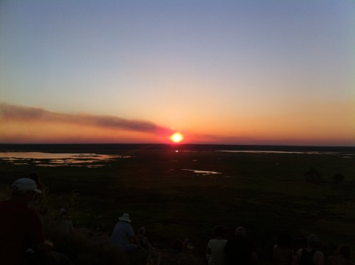 sunset kakadu