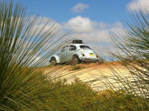 the rocket cursing along at coolimba- stunning kangaroo tails everywhere