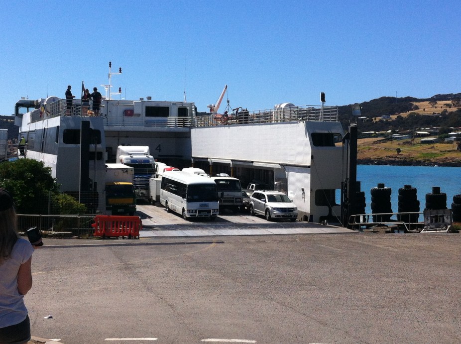 kangaroo is car ferry