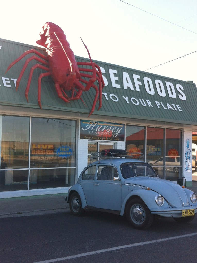 the rocket about to be engulfed by crayfish