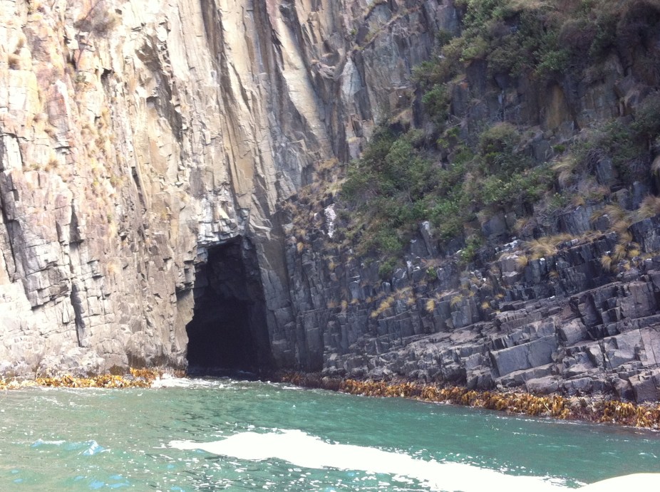 amazing blow holes on the cruise