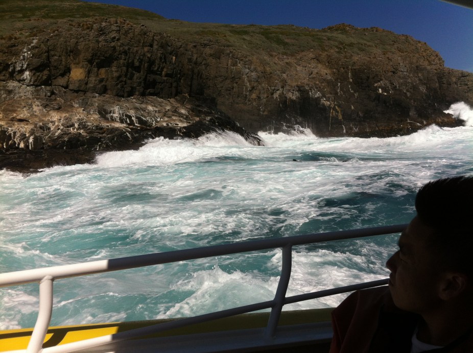 the boats were so good to keep everyone dry from the 2 mts swells